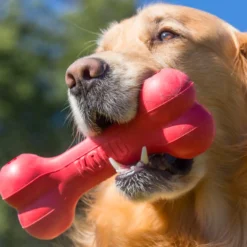 KONG Goodie Bone