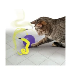 KONG Purrsuit Whirlwind