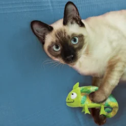 KONG Refillable Chameleon