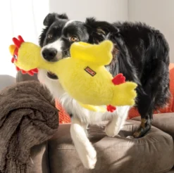 KONG Scruffs Chicken