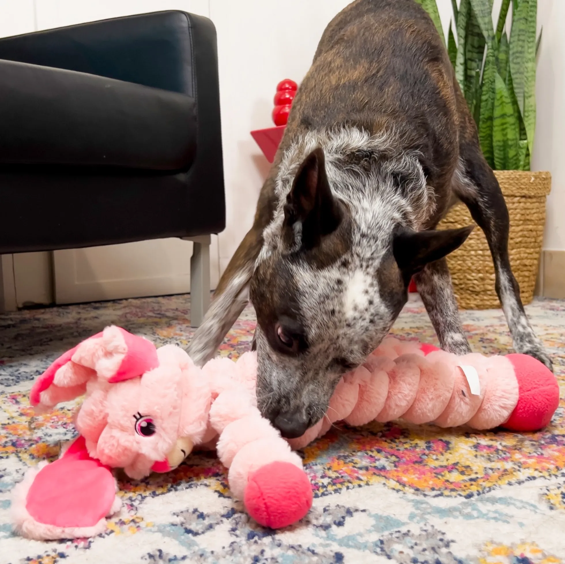 KONG Shakers Crumples XL Bunny