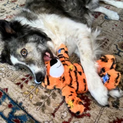KONG Wild Knots Tiger
