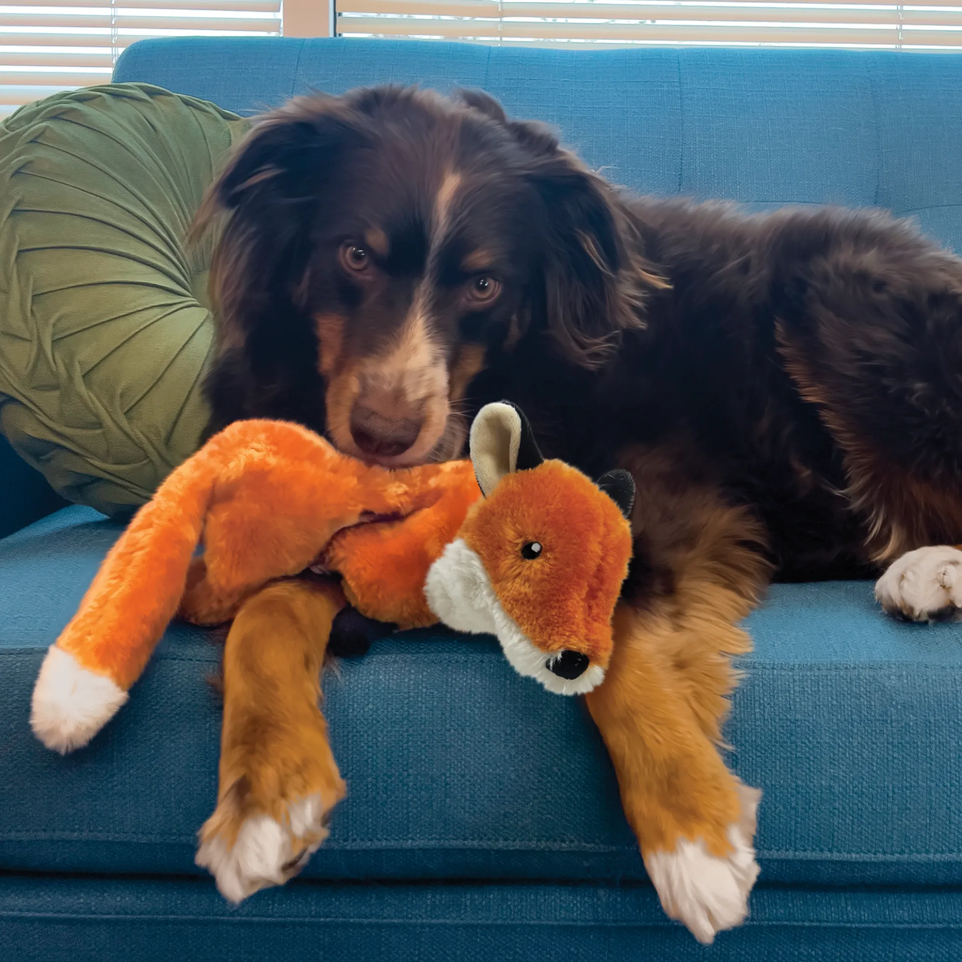 KONG Wild Low Stuff Fox