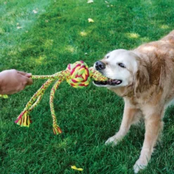 KONG Wubba Weaves Rope
