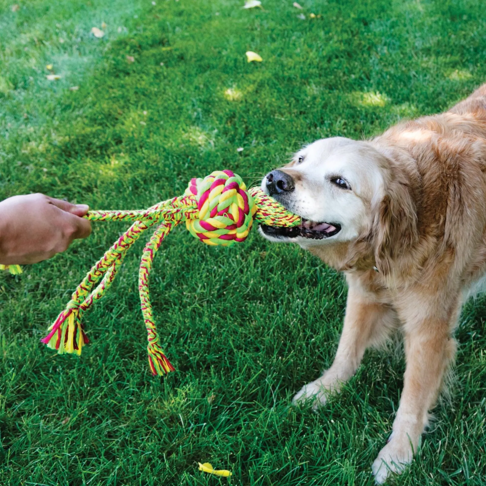 KONG Wubba Weaves Rope