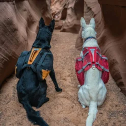 Kurgo Baxter Dog Backpack