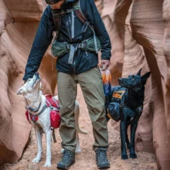Kurgo Baxter Dog Backpack