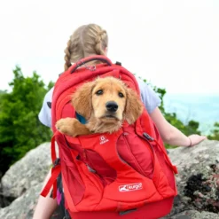 Kurgo G-Train Dog Carrier Backpack