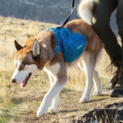Kurgo RSG Pack Pannier