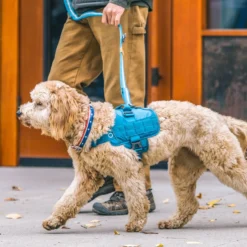Kurgo RSG Townie Harness