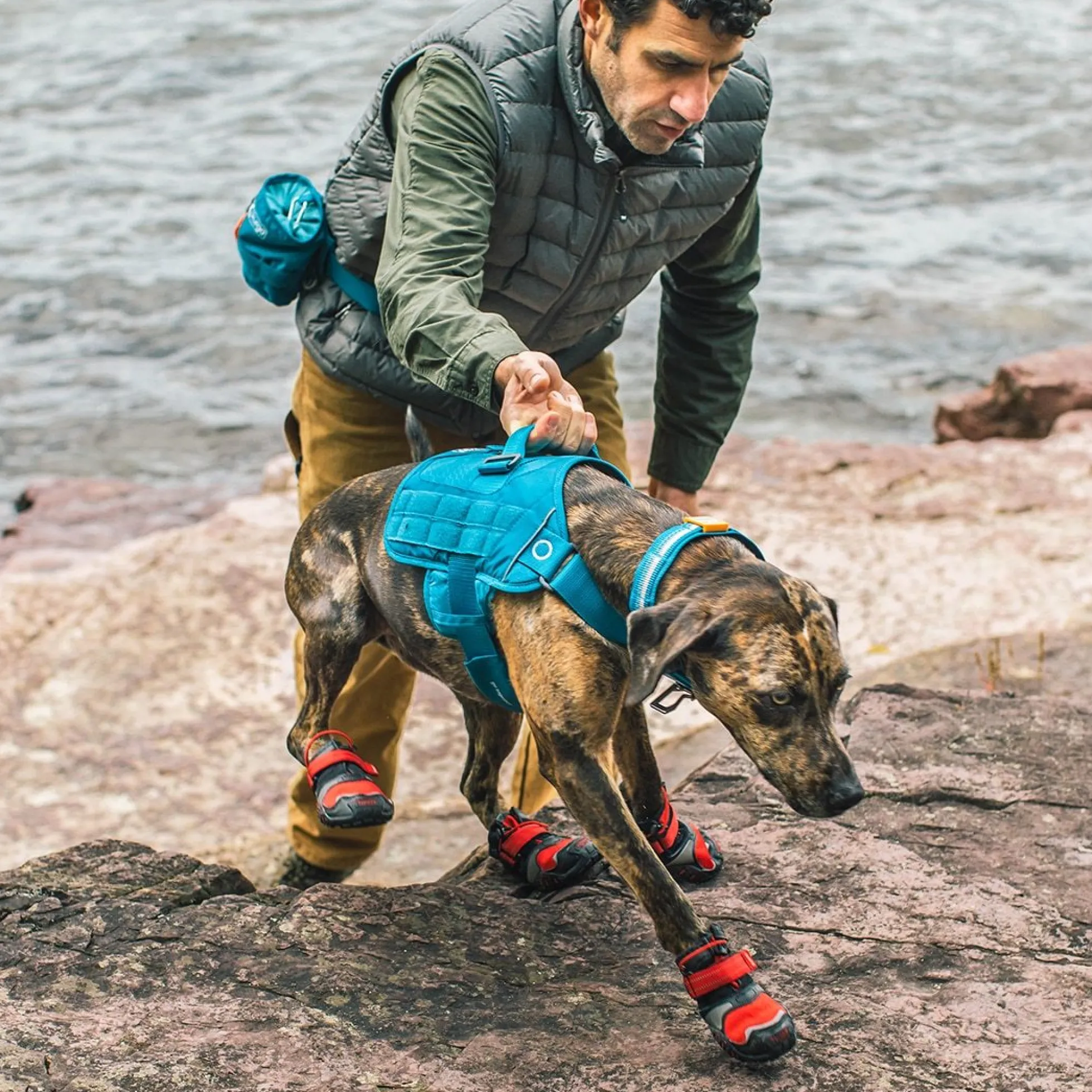 Kurgo RSG Townie Harness