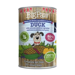 Little BigPaw Duck