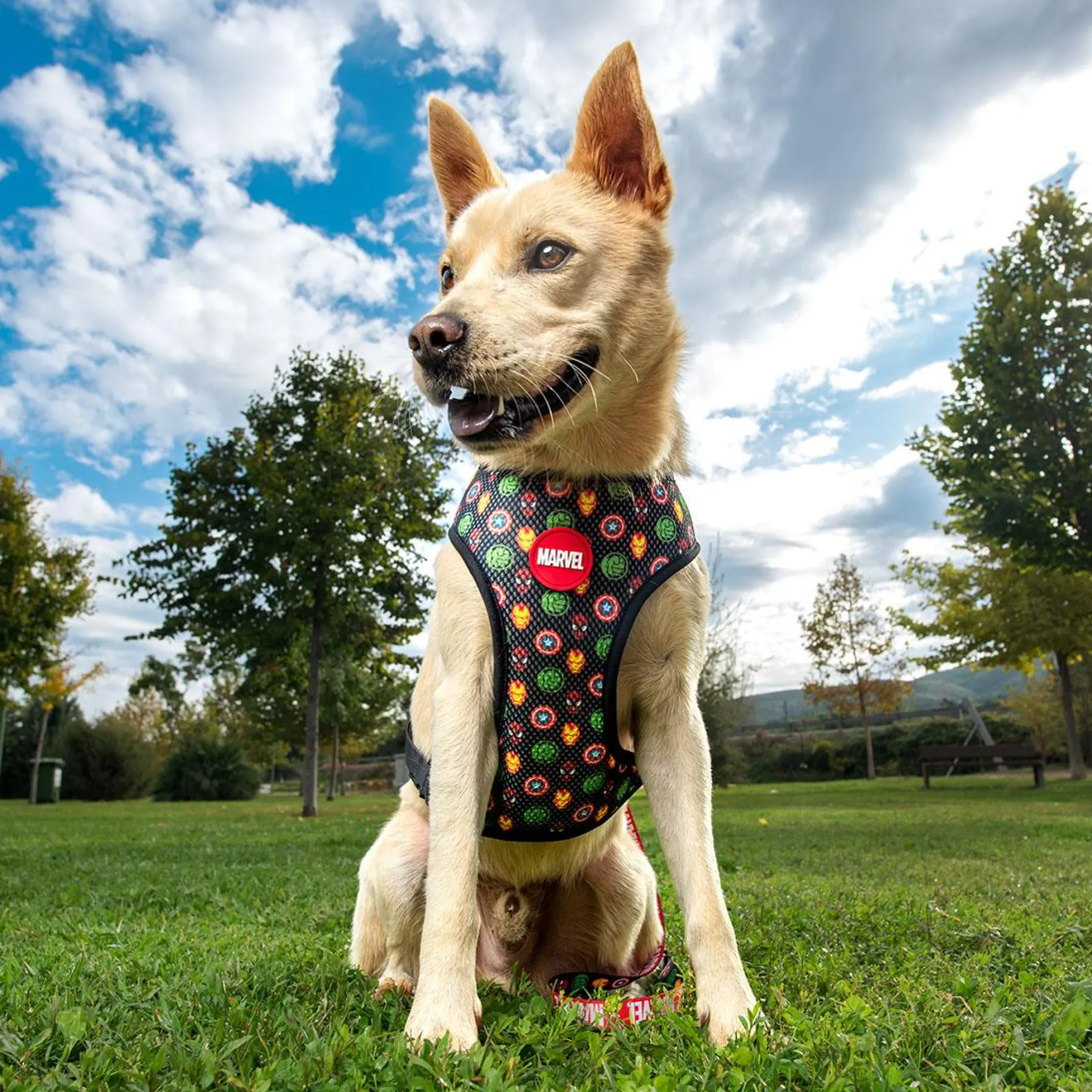 Marvel 2-in-1 Harness