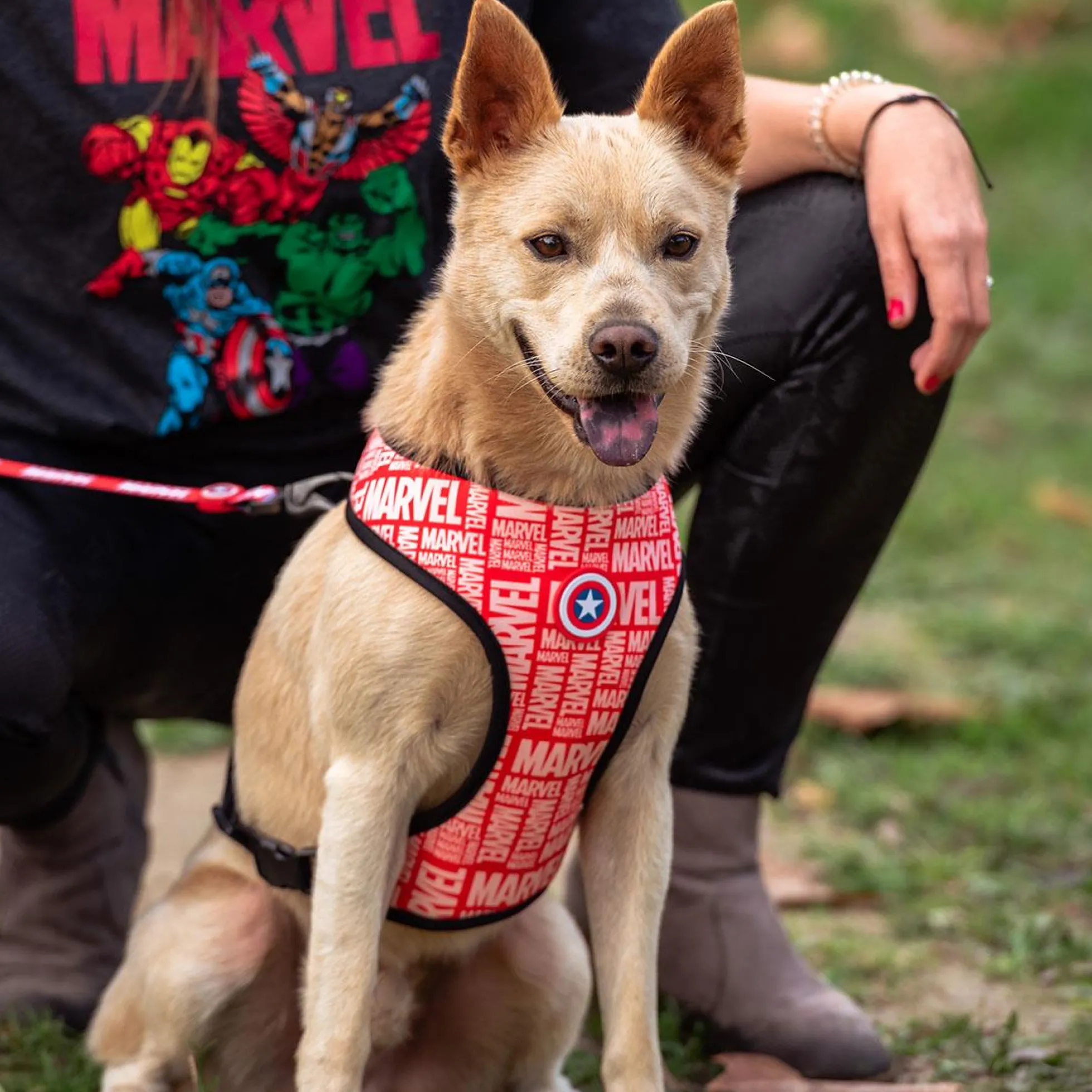 Marvel 2-in-1 Harness
