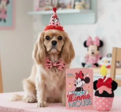 Minnie Mouse Minnie Birthday Kit