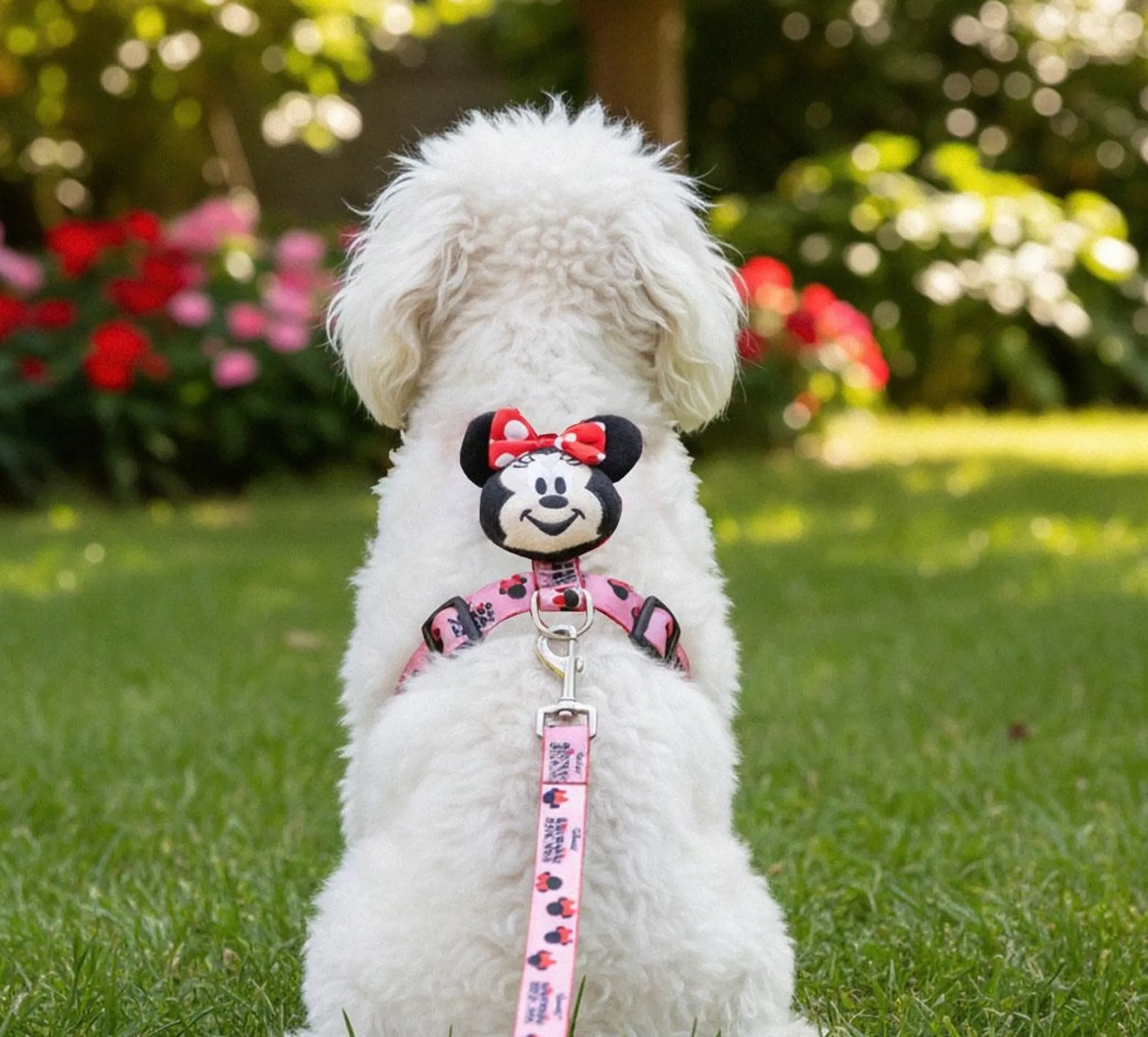 Minnie Mouse Minnie Harness & Leash Set