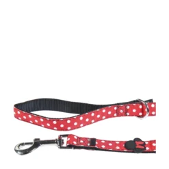 Minnie Mouse Minnie Koppel