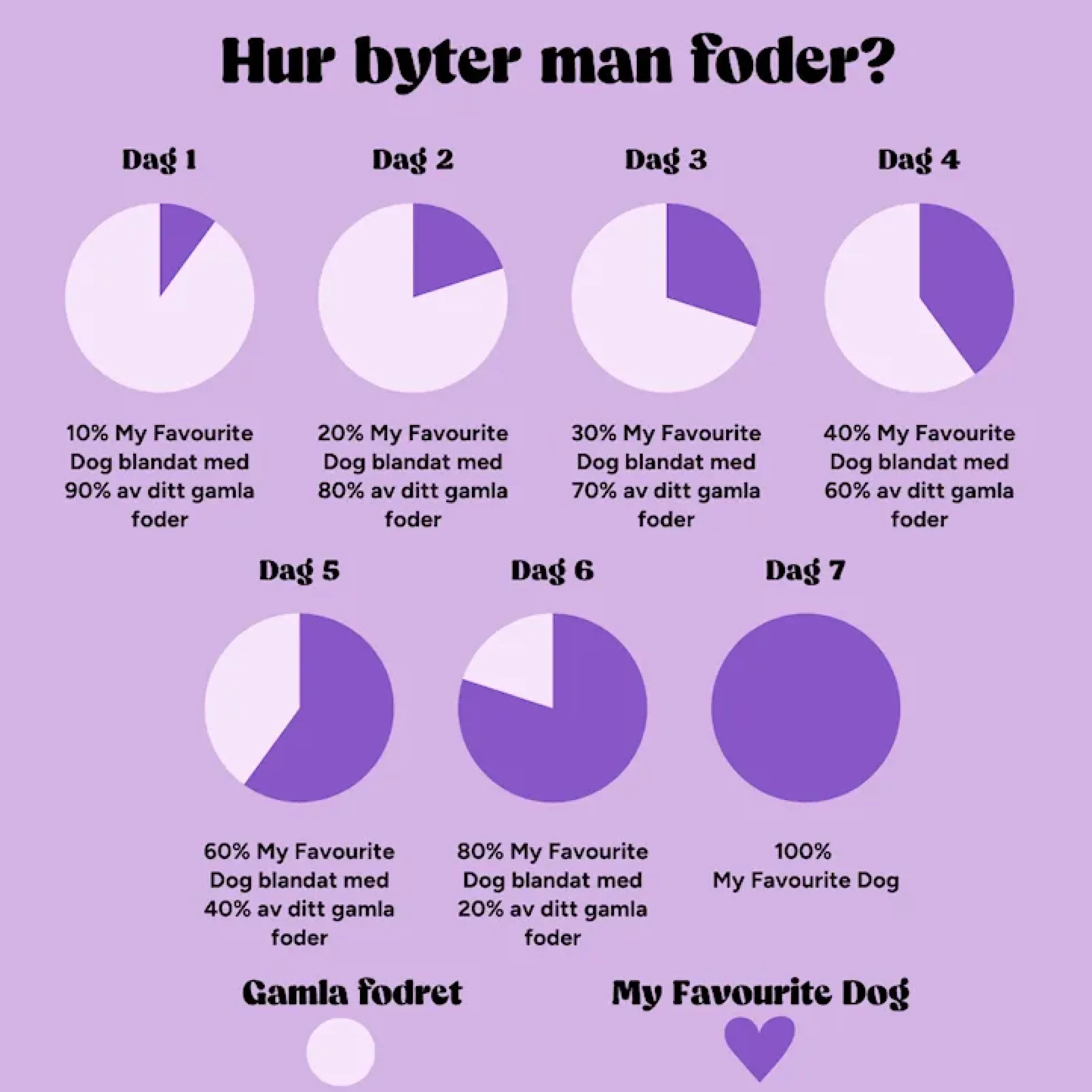 My favourite DOG Adult Dog Regular Chicken