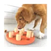 Nina Ottosson Dog Smart Composite, Nivå 1 Aktivitetsleksak