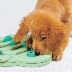 Nina Ottosson Puppy Hide N' Slide, Nivå 2 Aktivitetsleksak