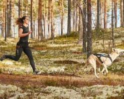 Non-stop dogwear CaniX Belt