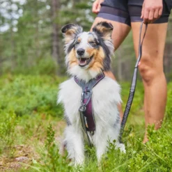 Non-stop dogwear Line Harness 5.0