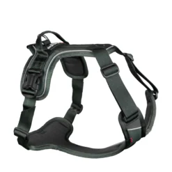Non-stop dogwear Ramble Harness