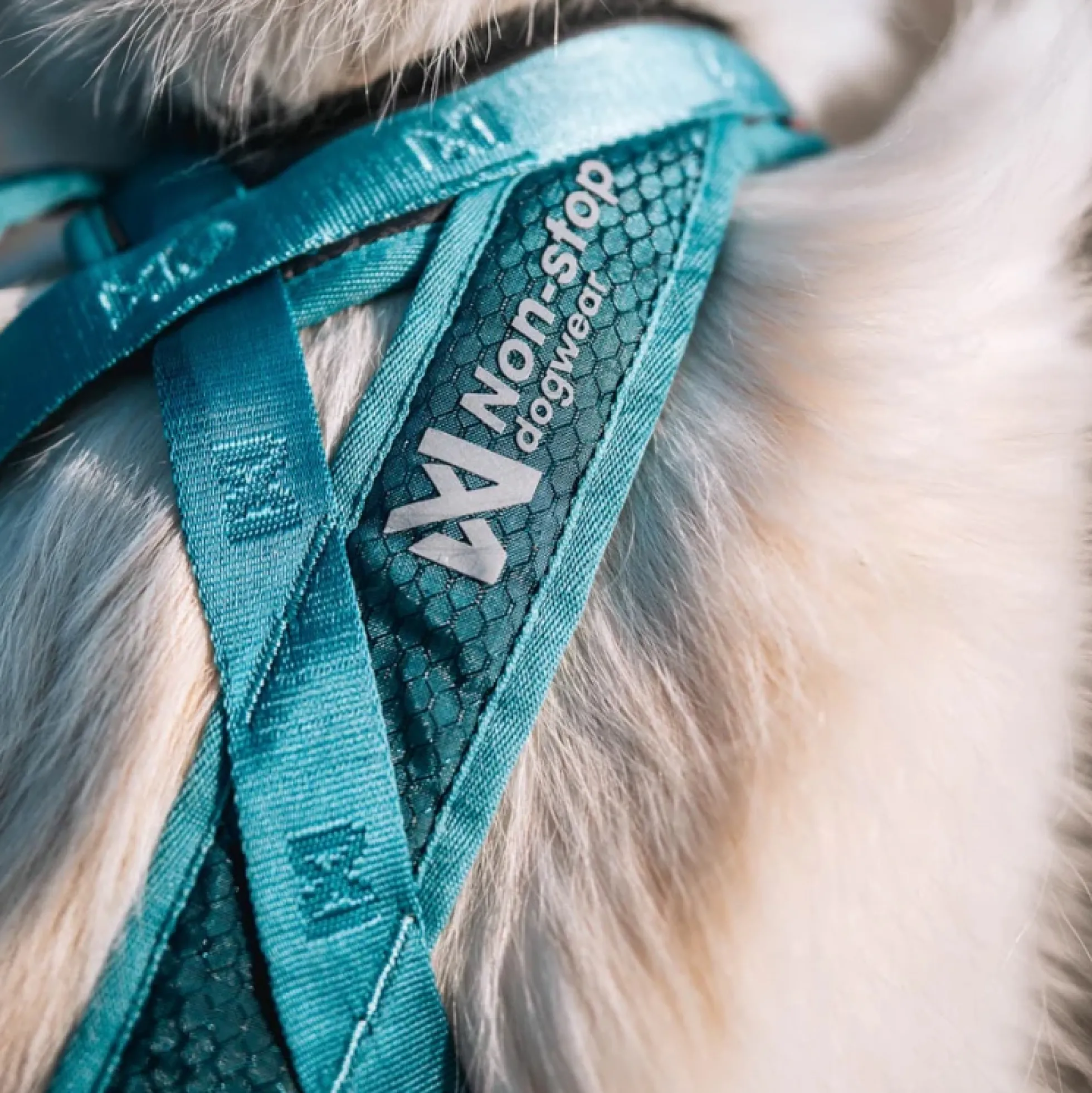 Non-stop dogwear Rush Harness