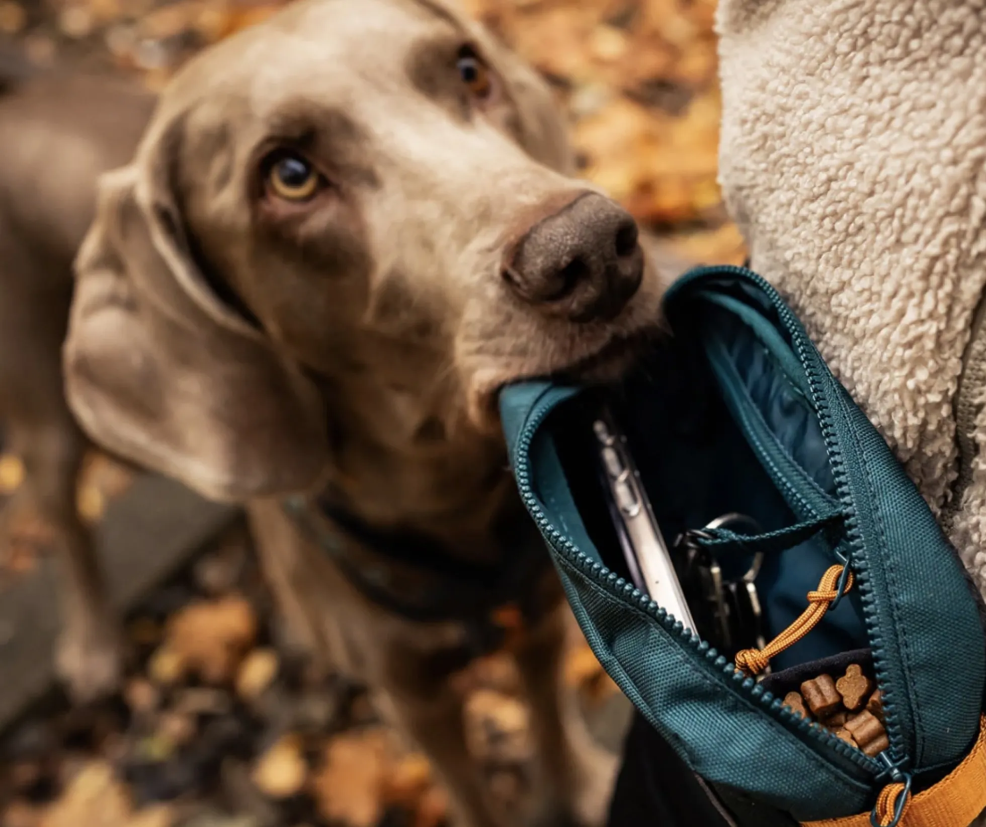 Non-stop dogwear Trail Quest Midjeväska Teal