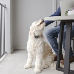 PetSafe Audible Antiskallhalsband