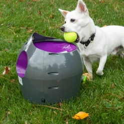PetSafe Bollkastare