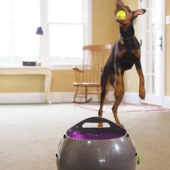 PetSafe Bollkastare