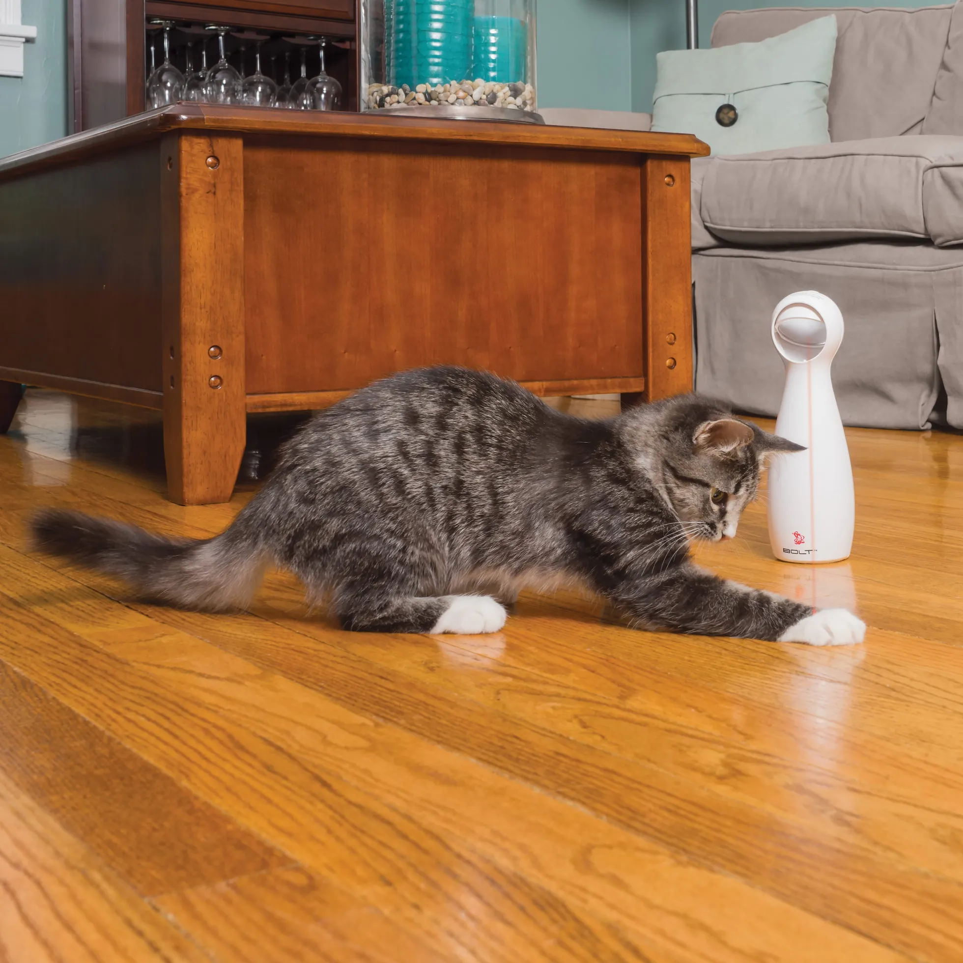 Petsafe Bolt Interactive Laser Light