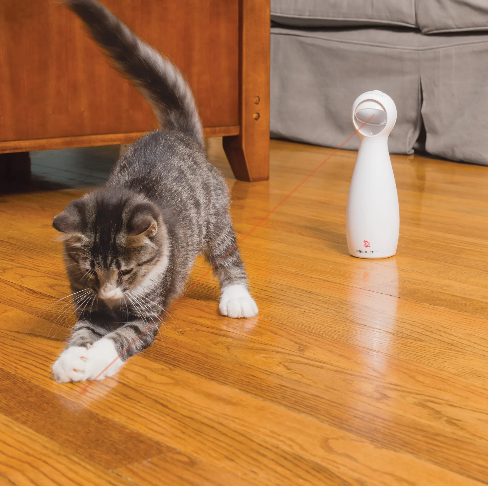 Petsafe Bolt Interactive Laser Light