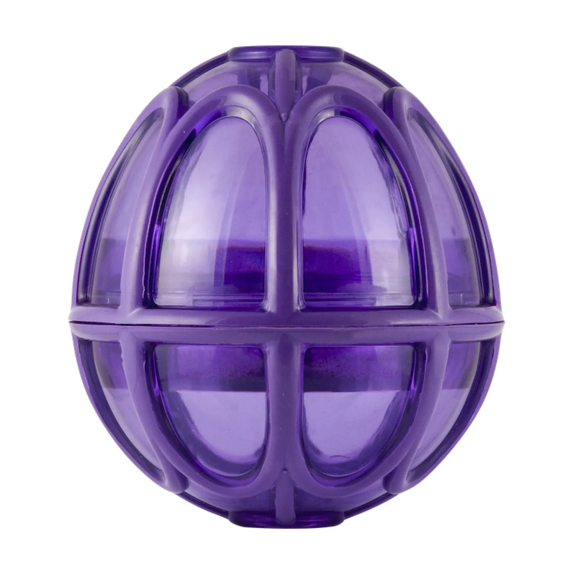 PetSafe Busy Buddy Kibble Nibble Feeder Ball