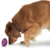 PetSafe Busy Buddy Twist'n Treat