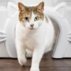PetSafe Cat Corridor Kattlucka