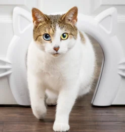 PetSafe Cat Corridor Kattlucka
