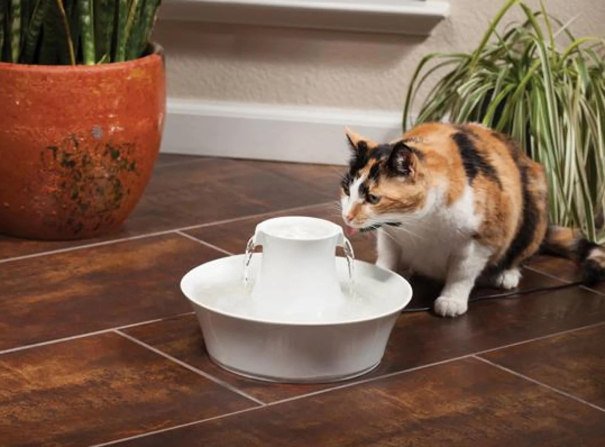 PetSafe Drinkwell Avalon