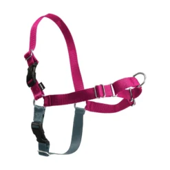 PetSafe Easy Walk Antidragsele