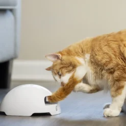 PetSafe Frolicat Fox Automatic Cat Teaser