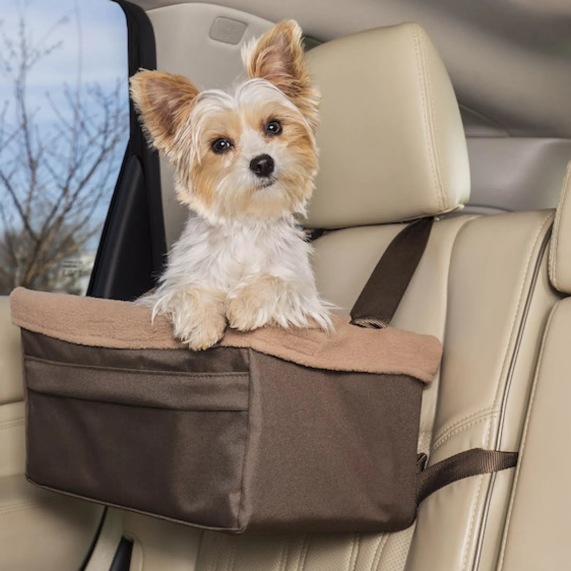 PetSafe Happy Ride Booster Seat