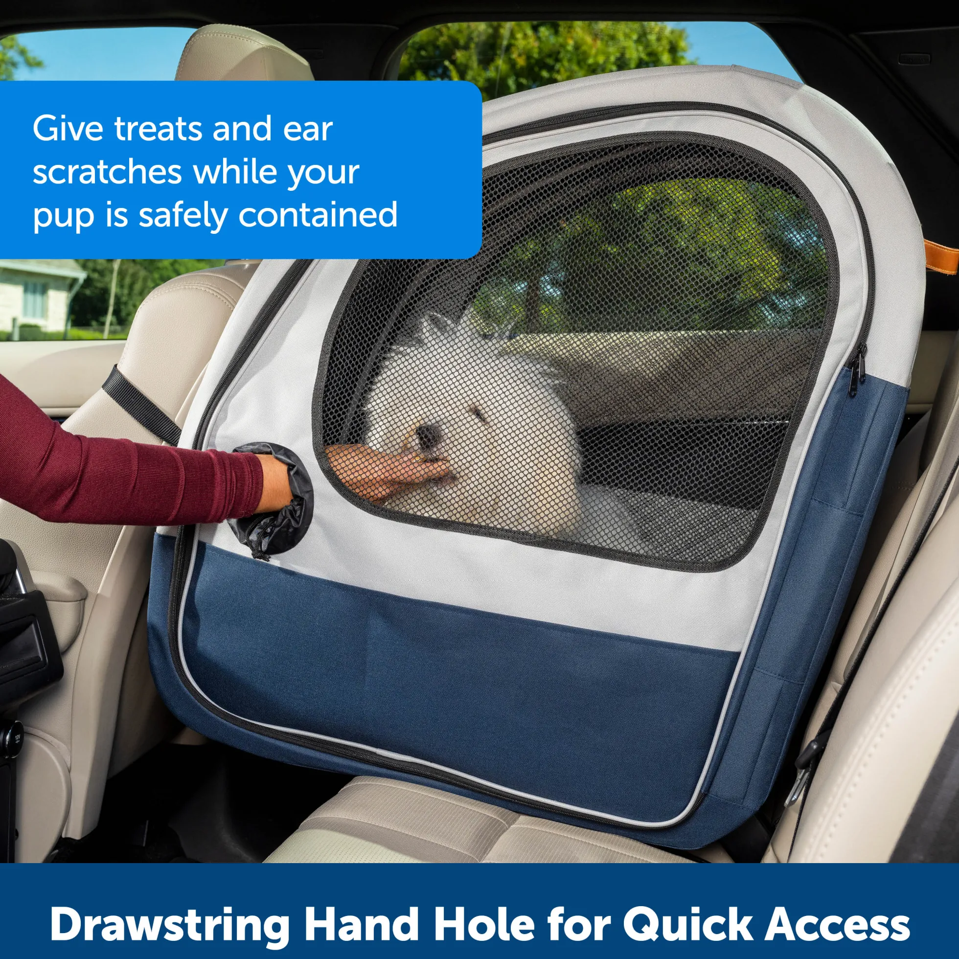 PetSafe Happy Ride Collapsible Travel Carrier