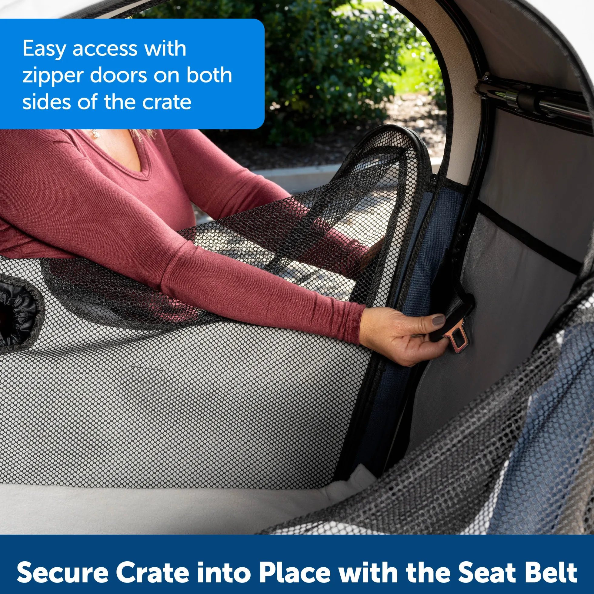 PetSafe Happy Ride Collapsible Travel Carrier