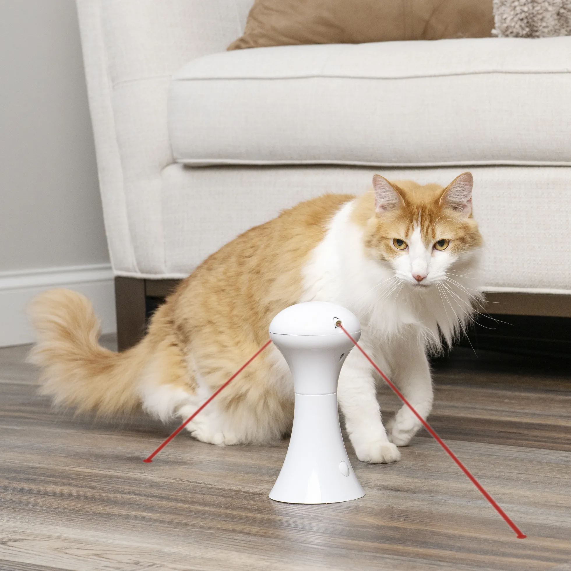 PetSafe Multi-Laser Toy