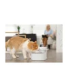 PetSafe Outlast Vattenfontän Pumpfri