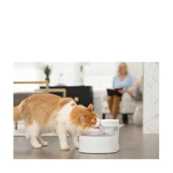 PetSafe Outlast Vattenfontän Pumpfri
