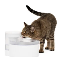 PetSafe Outlast Vattenfontän Pumpfri