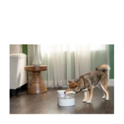 PetSafe Outlast Vattenfontän Pumpfri