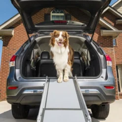 PetSafe Teleskopramp för Bil